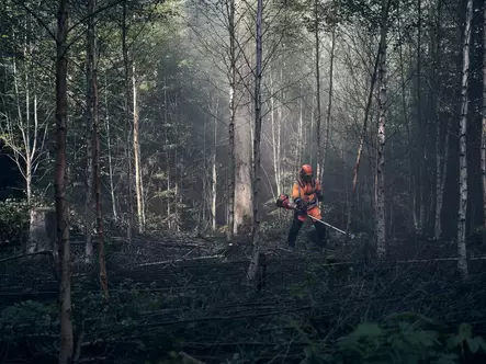 Husqvarna 545FXT AutoTune™ Raivaussaha - Metsänraivaussahat - 9671766-03 - 2